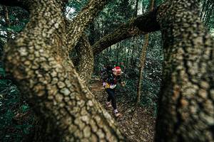 BIB: 
                            <button type="button" onclick="openModal(25392669)" class="btn btn-primary btn-sm float-right btn-popup" data-toggle="modal" data-target=".modal-high-quality">
                        <i class="fas fa-shopping-cart"></i> Add to Cart
                    </button>
                                            <button type="button" onclick="isThisMe(25392669, true)" class="btn btn-success btn-sm float-right btn-popup btn-isme hidden" data-toggle="tooltip" data-placement="bottom" title="นี่คือรูปของคุณใช่ไหม คลิกที่นี่เพื่อเอาเข้าอัลบั้ม">
                        <i class="fas fa-plus"></i> Add to album
                    </button>
                    <button type="button" onclick="isThisMe(25392669, false)" class="btn btn-warning btn-sm float-right btn-popup btn-isnotme hidden">
                        <i class="fas fa-ban"></i> Remove from album
                    </button>